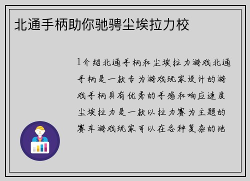 北通手柄助你驰骋尘埃拉力校